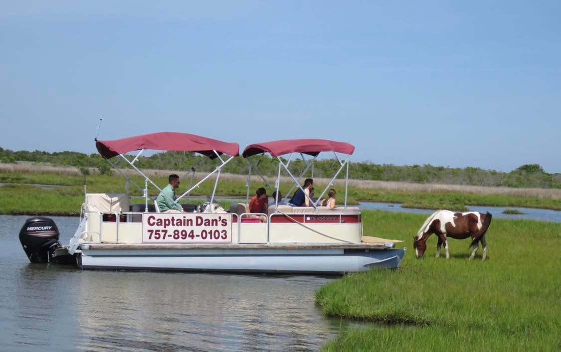 Things To Do Captain Dan`s Around The Island Tours